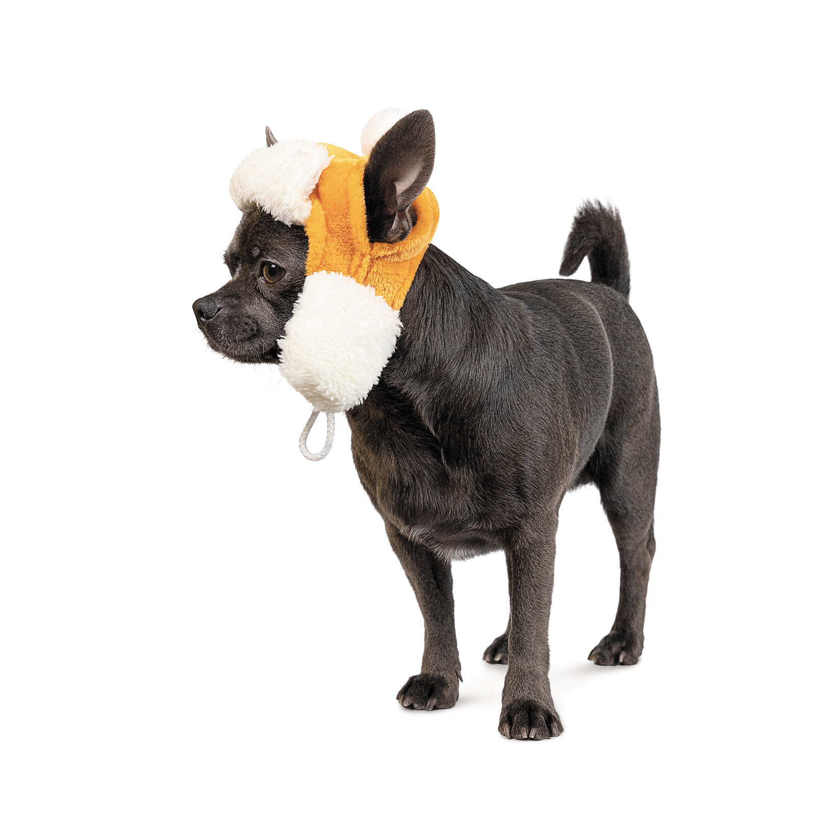 Шапка для собак Pet Fashion «Bubo» M