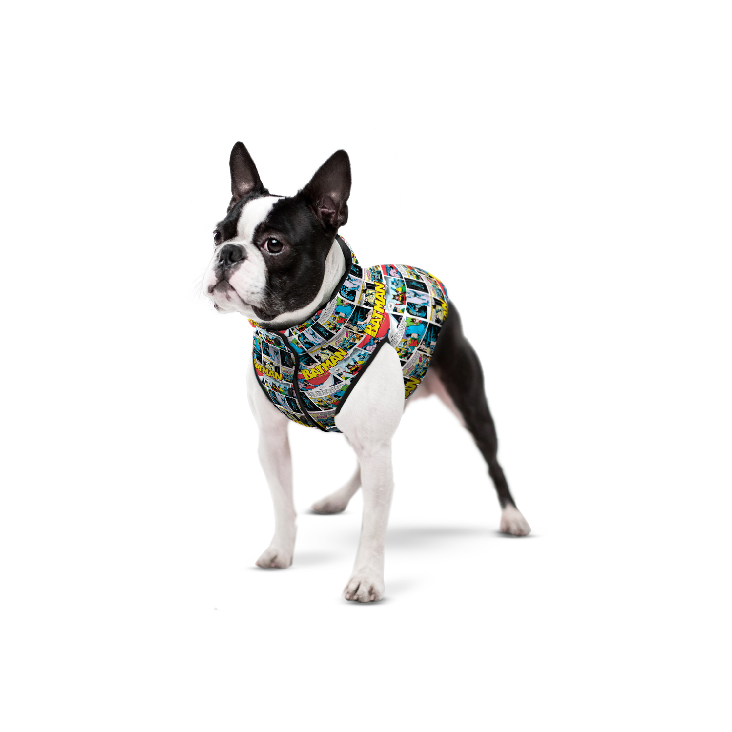 Collar Курточка для собак WAUDOG «Batman comics» XS 30 XS-30