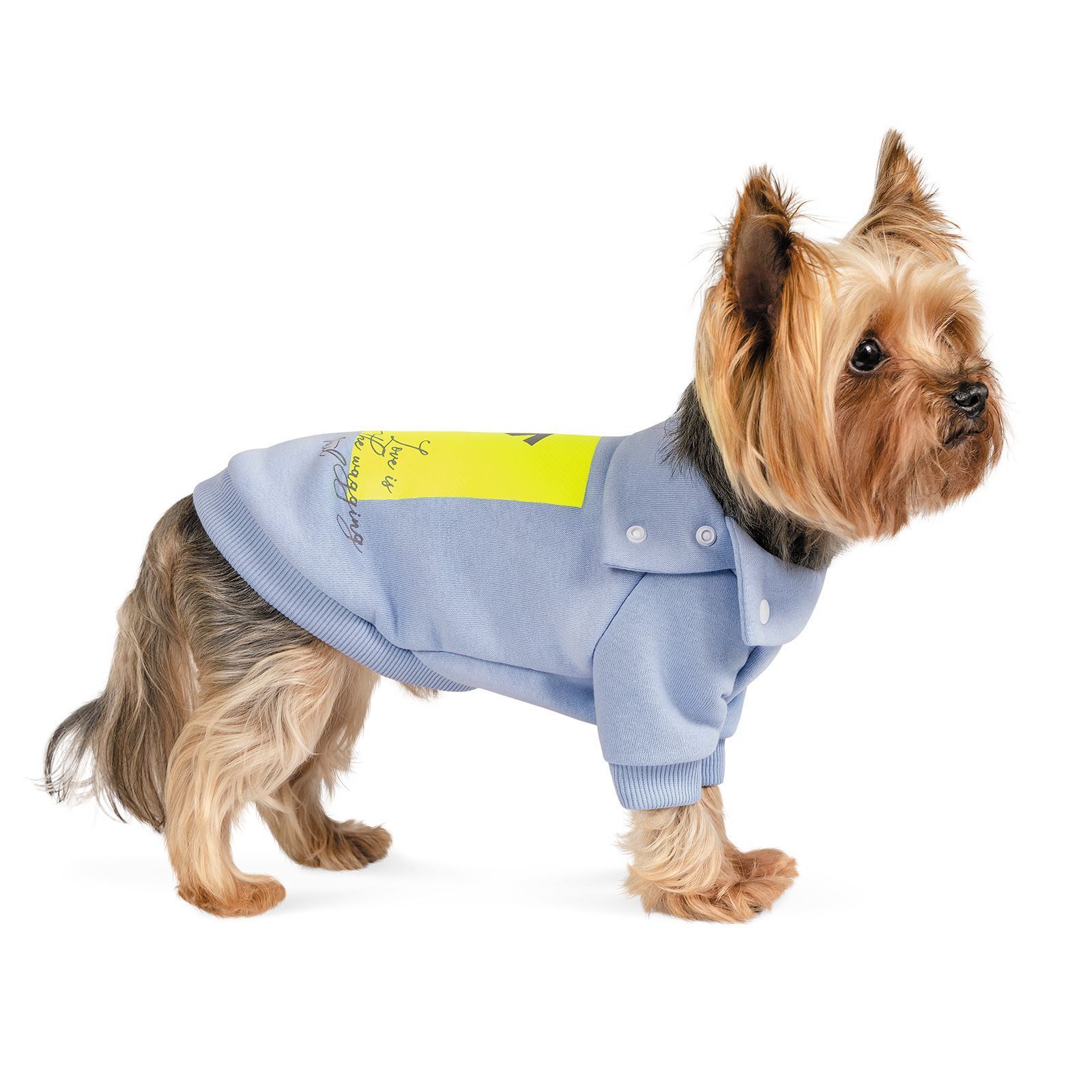 Pet Fashion Light толстовка для собак M-2