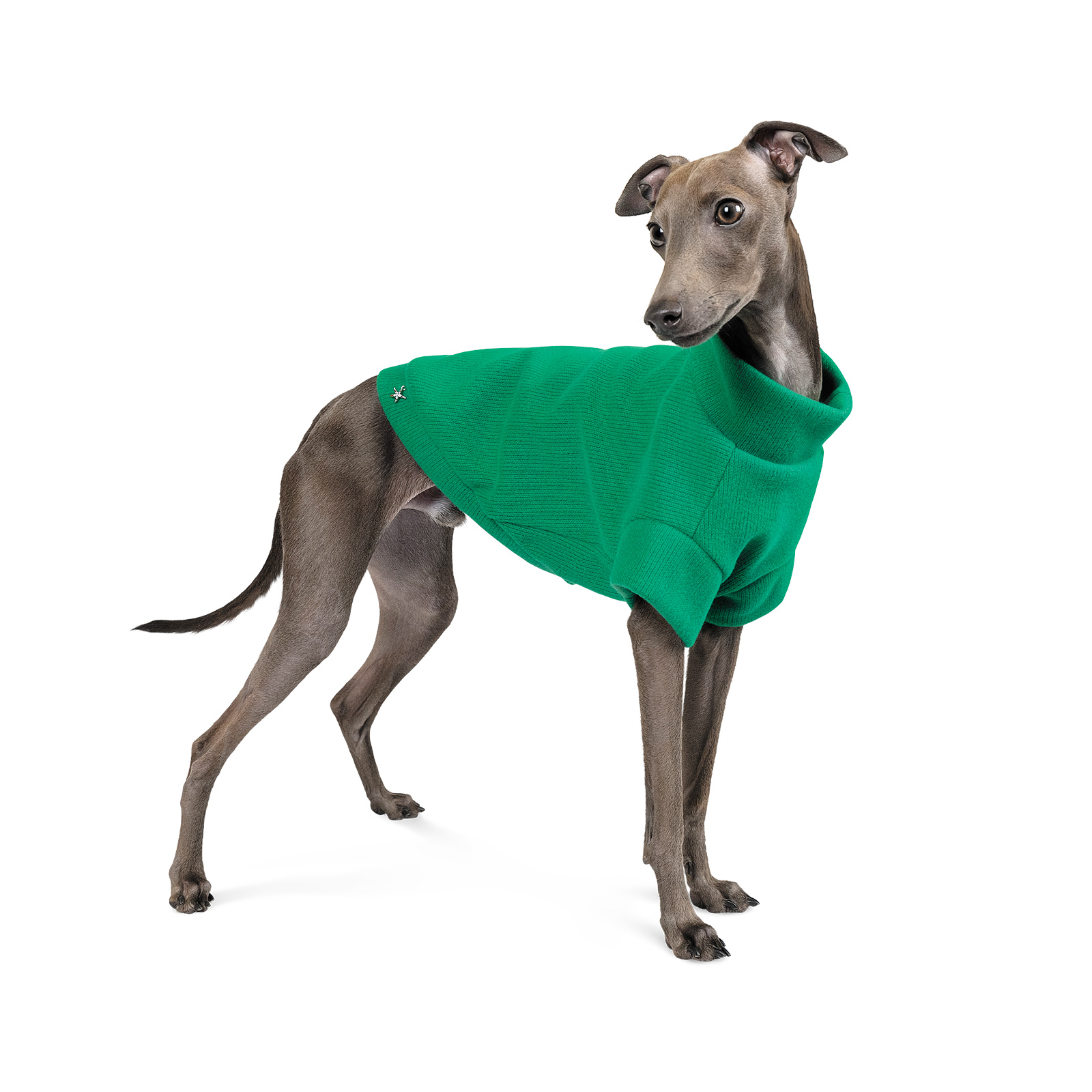 Светр для собак Pet Fashion «Green» XS (зелений)