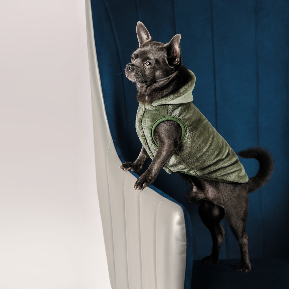 Жилет для собак Pet Fashion «LOUIS» XS