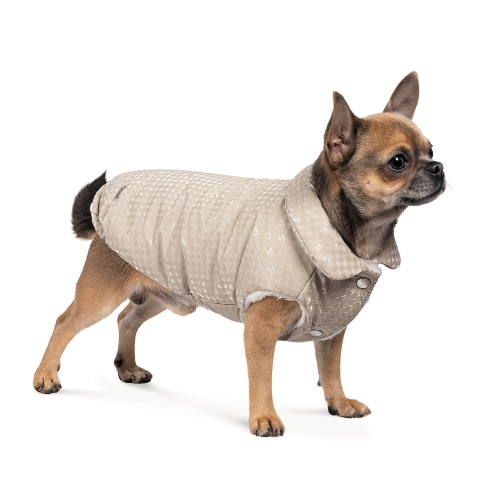 Pet Fashion Lucky жилет для собак S-2