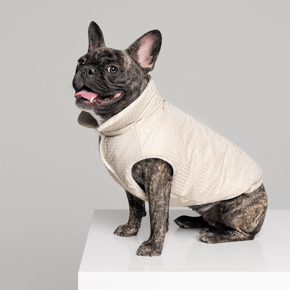 Pet Fashion Lucky жилет для собак S-2