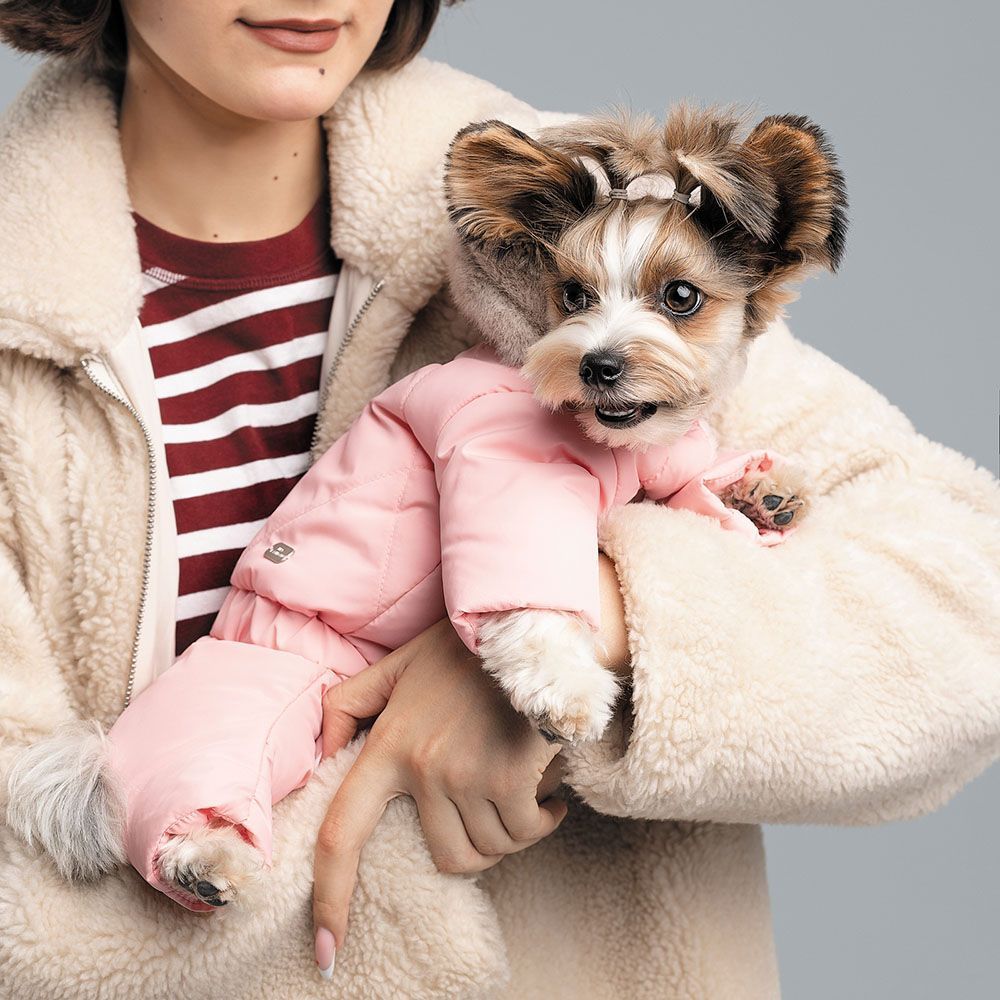 Pet Fashion Judy костюм для собак XS