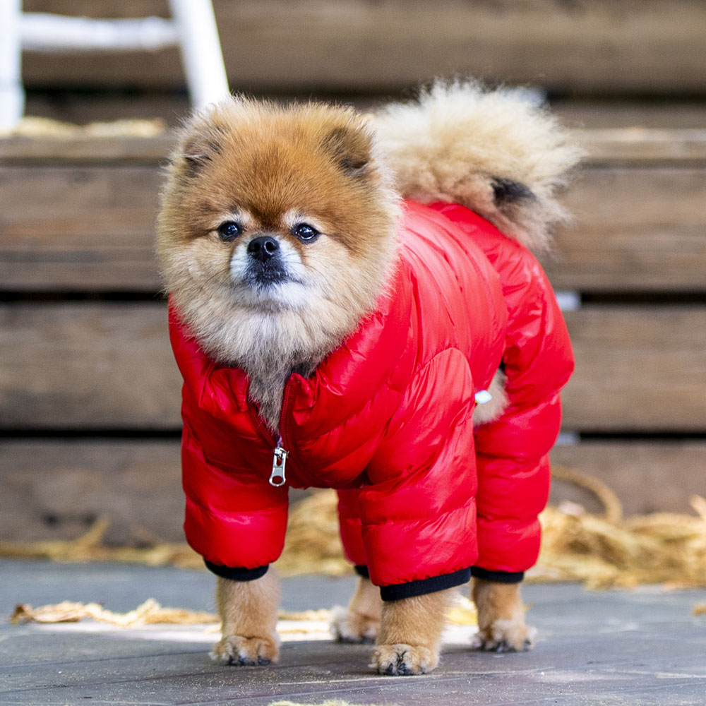 Комбінезон для собак ультралегкий Puppia B, M (червоний)