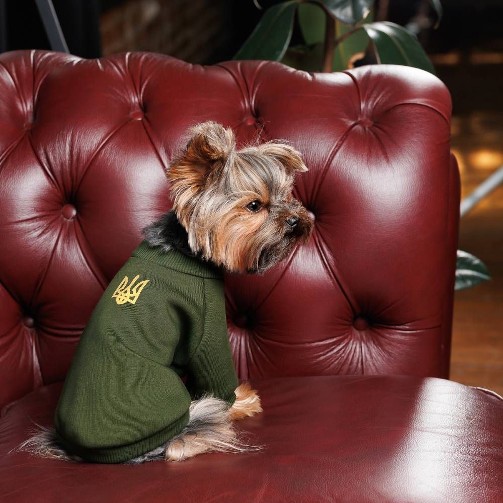 Pet Fashion Тризуб толстовка для собак XS