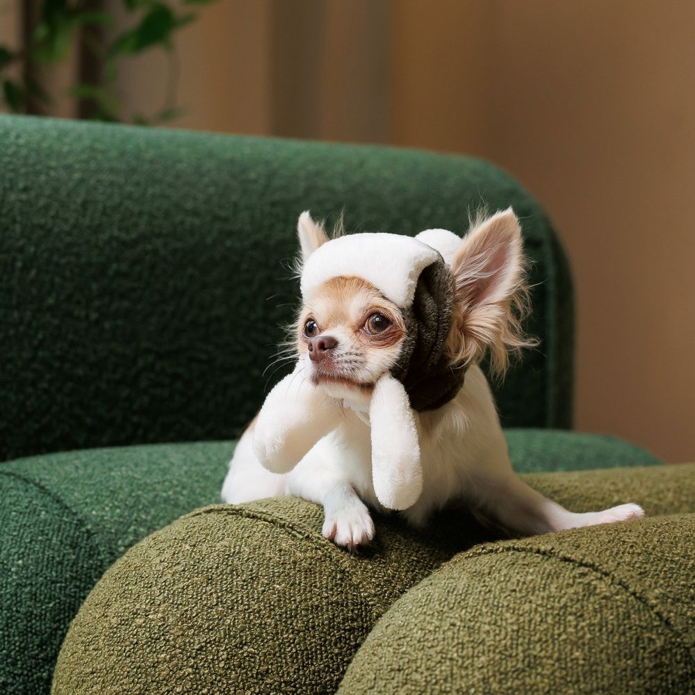 Шапка для собак Pet Fashion «Bubo» XS