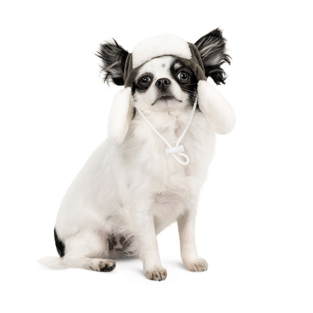 Шапка для собак Pet Fashion «Bubo» M