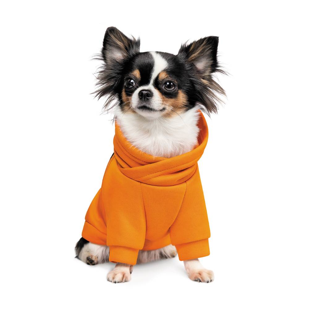 Товстівка для собак Pet Fashion Pumpkin М M