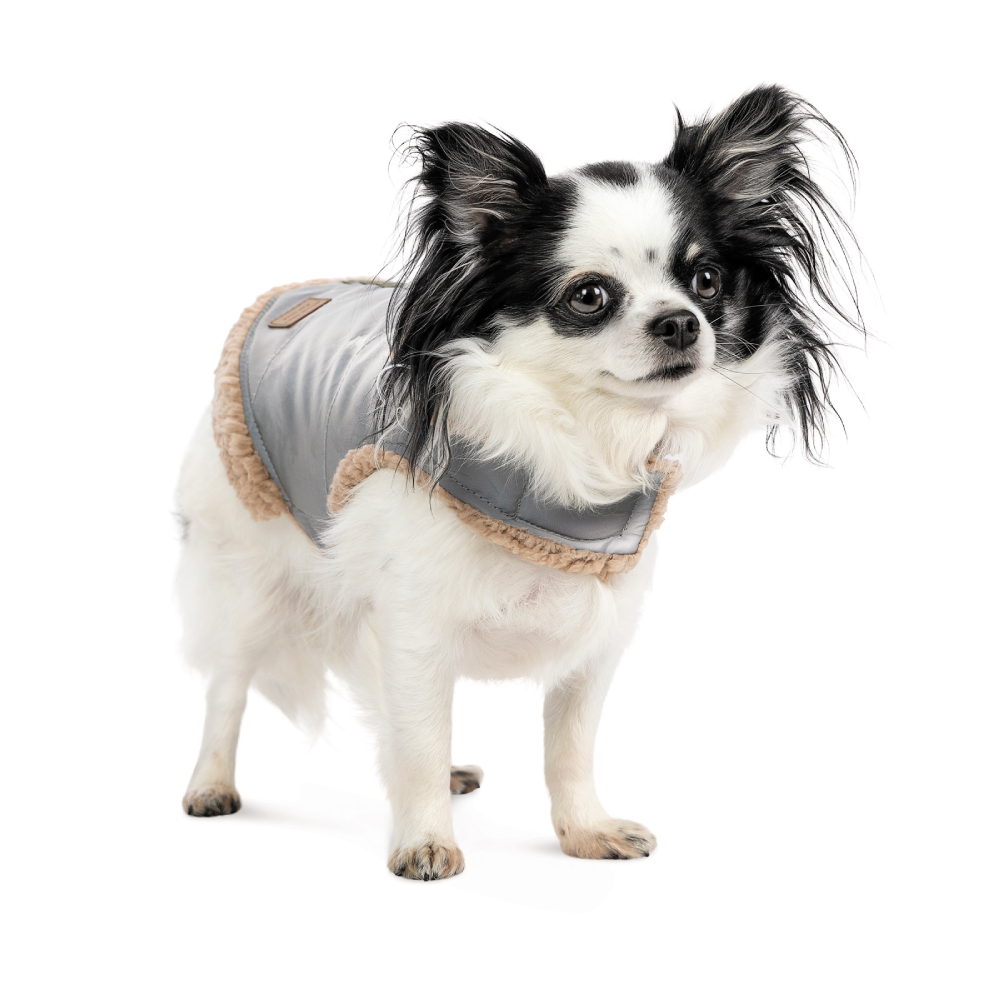 Шлея для собак Pet Fashion Rob XS-2