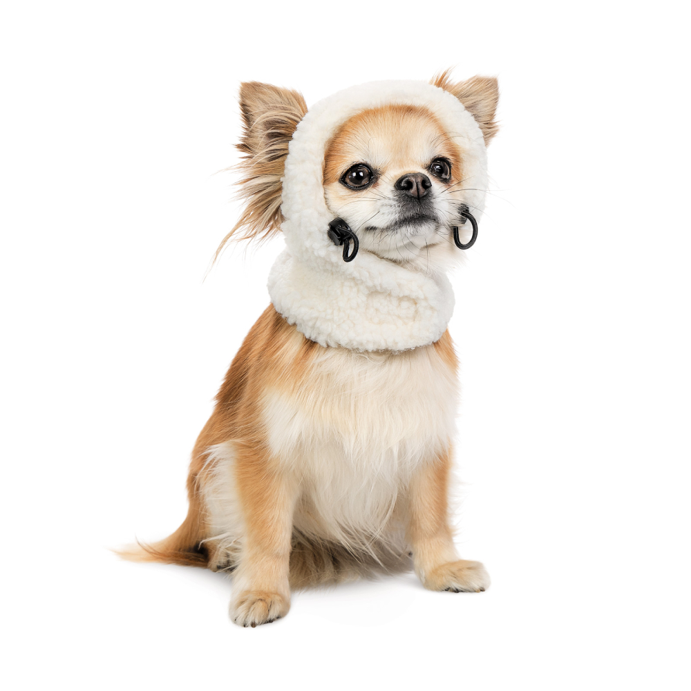 Шапка для собак Pet Fashion Teddy S