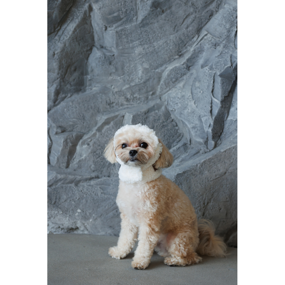 Шапка для собак Pet Fashion Teddy S