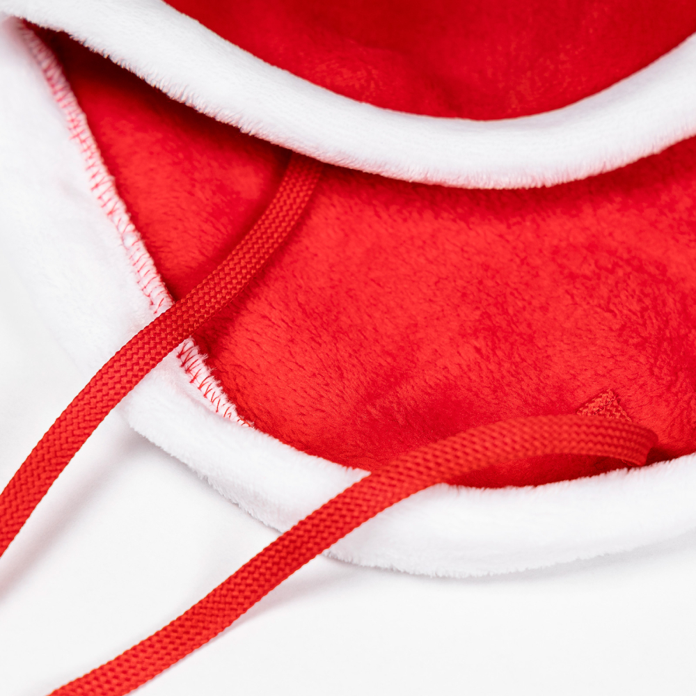 Накидка для собак Pet Fashion Santa S - червоний