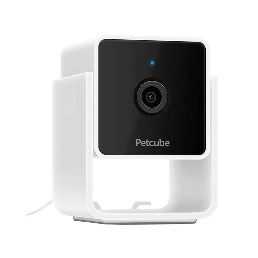 Камера відеоспостереження Petcube Cam за собаками