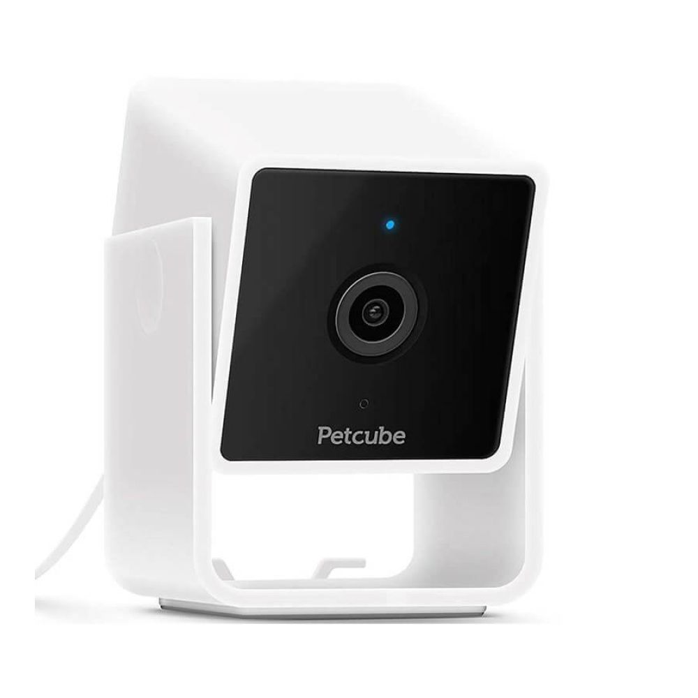 Камера відеоспостереження Petcube Cam за собаками