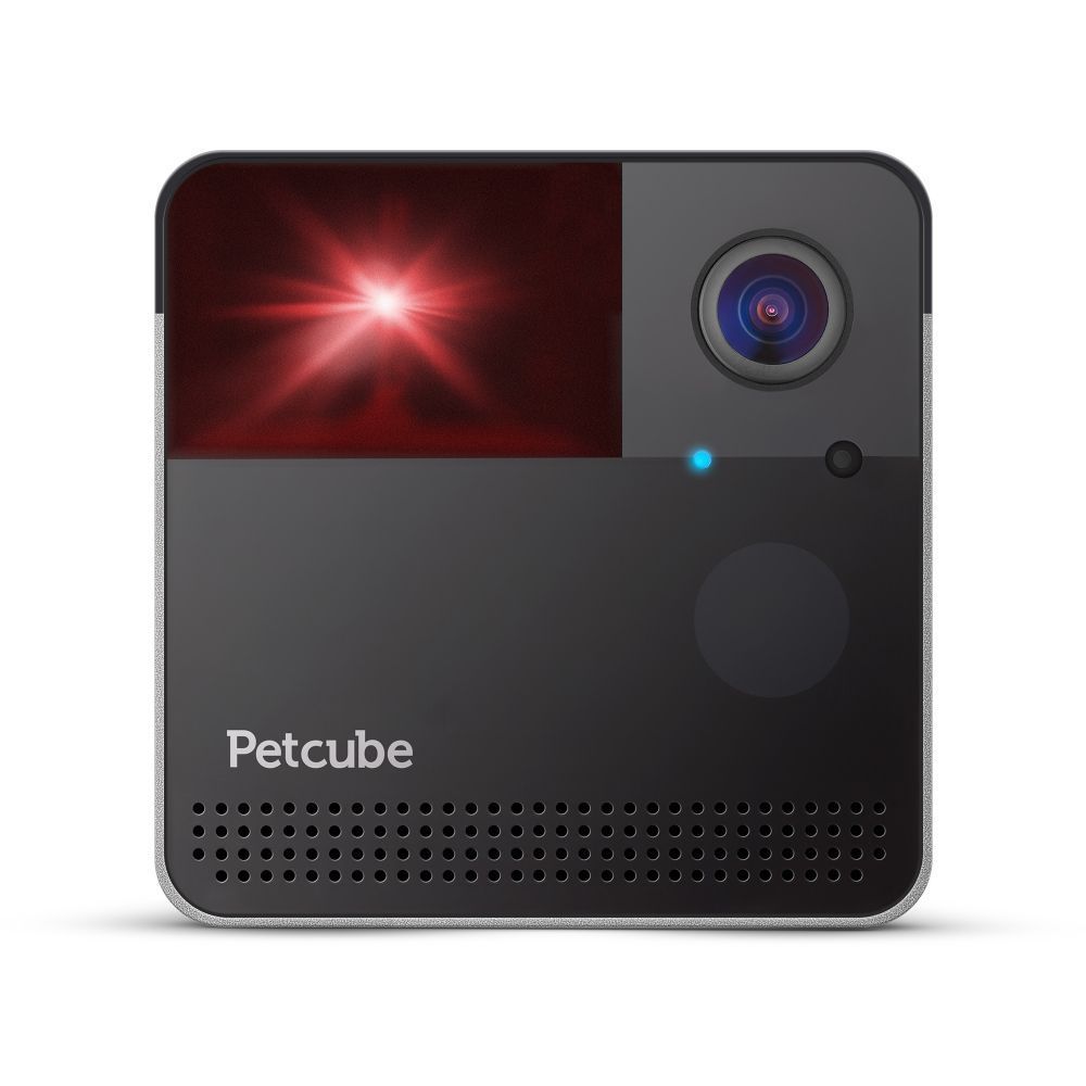 Інтерактивна НD-камера Petcube Play 2 відеоспостереження за собаками