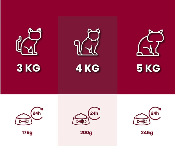 Animonda Корм