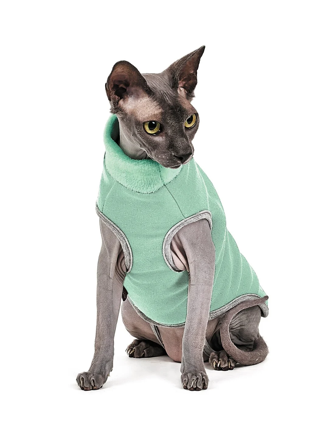 Светр для котів Pet Fashion «Брюс» S (зелений)