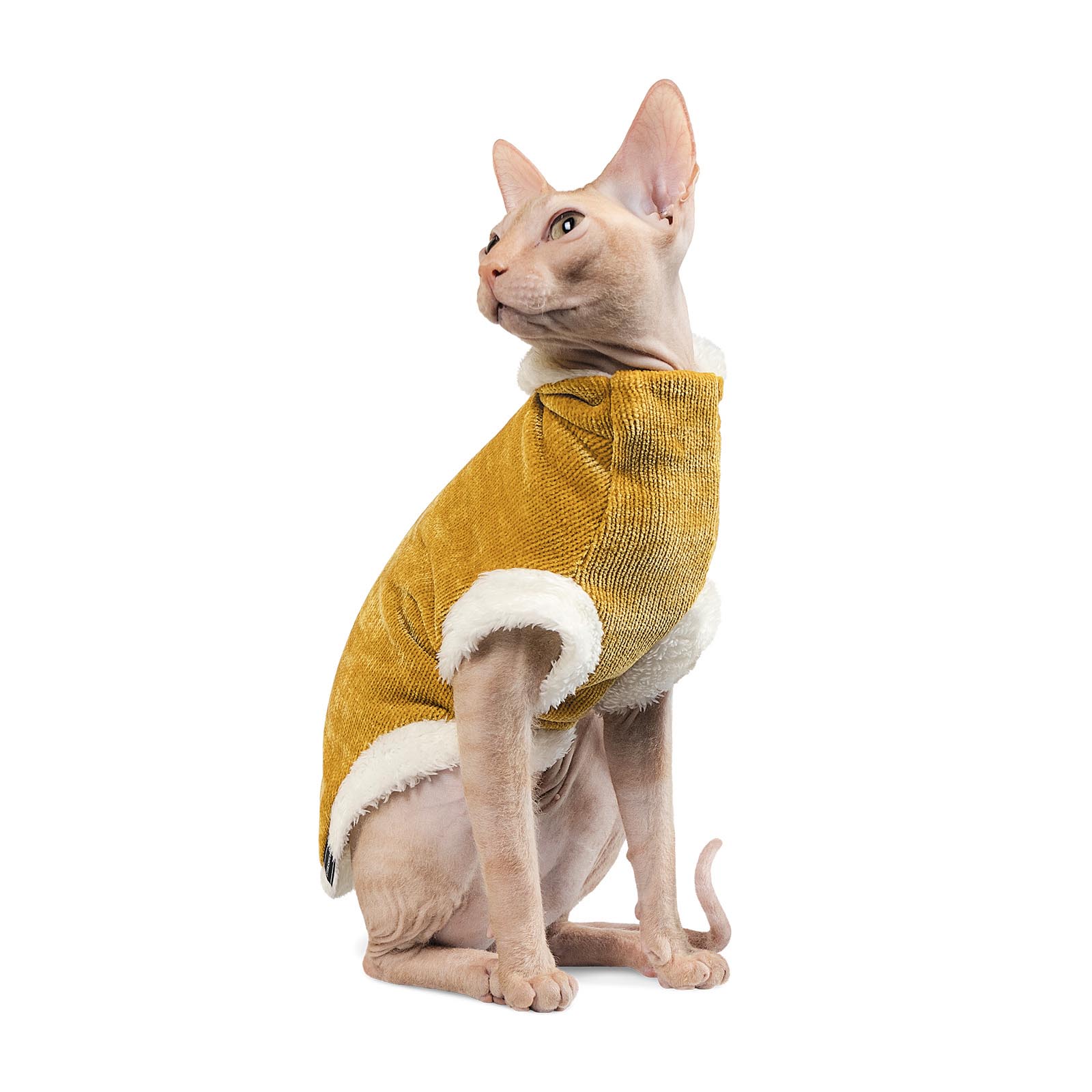 Светр Pet Fashion «Tom» S (помаранчевий)