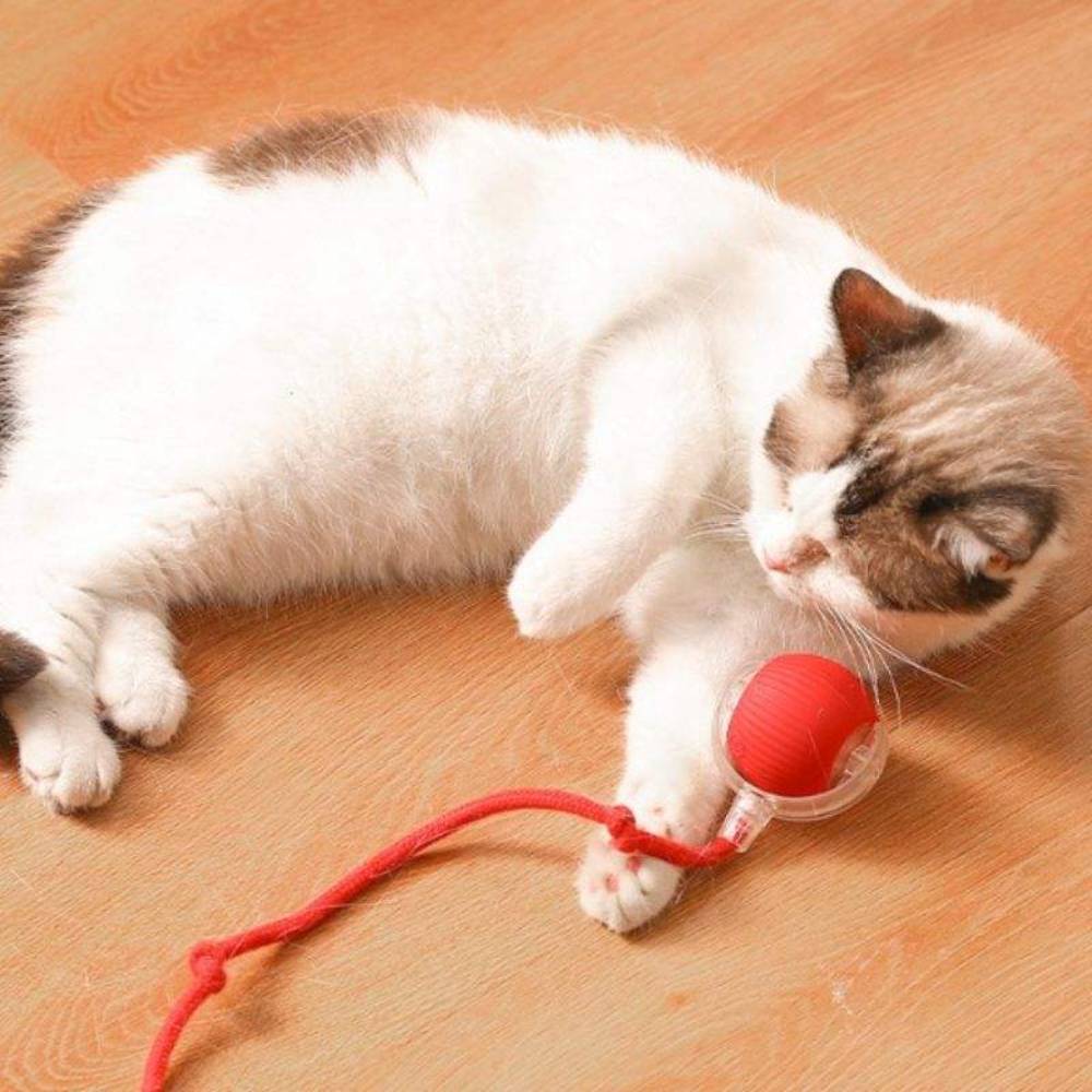 Іграшка для котів Me&Pet М'яч з мотузкою 5 см - червоний