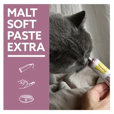 GimCat Добавка Malt-soft Extra виведення