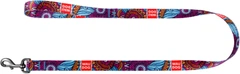 Повідець для собак нейлоновий Collar WAUDOG Nylon, малюнок "Літо" , L, Ш 25 мм, Дов 122 см (4604)
