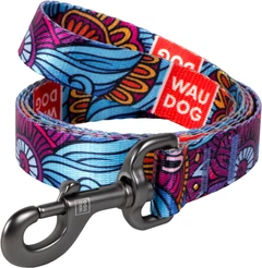Повідець для собак нейлоновий Collar WAUDOG Nylon, малюнок "Літо" , L, Ш 25 мм, Дов 122 см (4604)