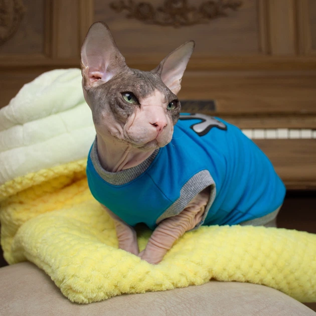Будинок - нора мішок для кішок і собак Style Pets MM/ Frida - yellow (MM/ FY ) розмір L 50 см на 75 см