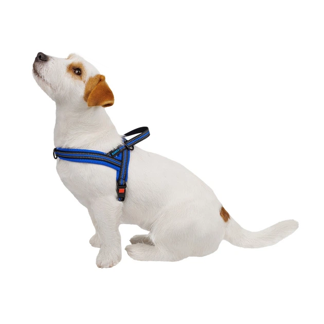 Barksi Шлея для Собак BronzeDog Mesh Скандинавська Синя 68-82 см (81402)