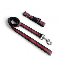 Без бренда Повідець для собак Pet & Co Gucci Д 1,2 м Ш 15 мм зелено-червоний (0117)
