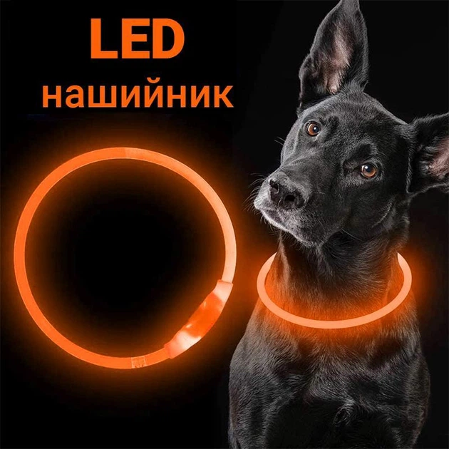 Без бренду Світлодіодний, водостійкий LED нашийник для собак із зарядкою USB, 35 см, розмір S (помаранчевий)