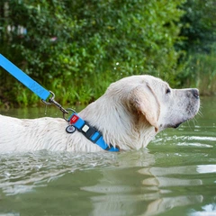 Нашийник для собак WAUDOG Waterproof з QR паспортом, водостійкий, пластикова пряжка-фастекс із замком, L, 34-49 см 25 мм Блакитний (27722)