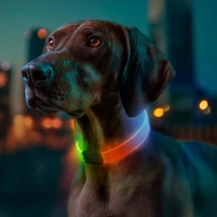 Нашийник для собак з підсвічуванням WAUDOG LED, RGB, Type-C, регульований (5289)