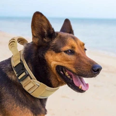 Без бренда Нашийник для собак Harness Tactical, широкий нейлоновий з металевою пряжкою-фастекс, Коричневий L (181L-KHAKI)