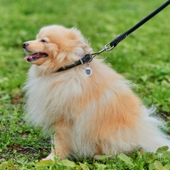 Нашийник для собак шкіряний Collar WAUDOG Soft з QR паспортом, круглий, S, Д 10 мм, Дов 33-41 см (00391)