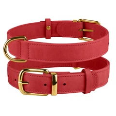 Нашийник для Собак Шкіряний BronzeDog Crazy Червоний XS 12 мм 20-28 см (00473)