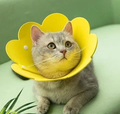 Xtep Комір-нашийник "для загоєння ран" для собак та кішок Yellow Flower Size М