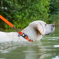 Нашийник для собак WAUDOG Waterproof з QR паспортом, водостійкий, пластикова пряжка-фастекс із замком, M, 28-40 см 20 мм Помаранчевий (27454)