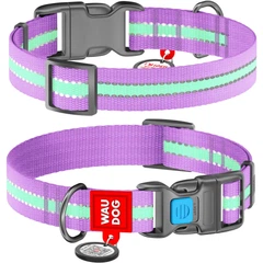 Нейлоновий нашийник для собак WAUDOG Nylon (ВАУДОГ Нейлон) з QR паспортом світлонакопичувальний (Світиться у темряві) 25-35 см 15 мм Фіолетовий (45629)