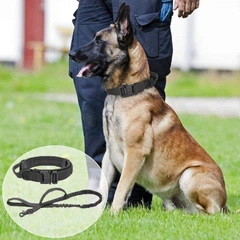 Без бренда Нашийник з повідцем Harness для собак, нейлоновий з металевою пряжкою-фастекс L (45-55см), Чорний (035L-BLACK)