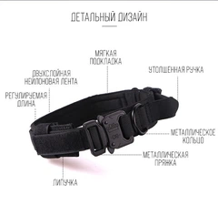 Без бренда Нашийник з повідцем Harness для собак, нейлоновий з металевою пряжкою-фастекс L (45-55см), Чорний (035L-BLACK)