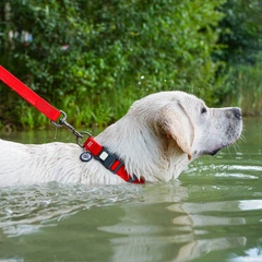 Нашийник для собак WAUDOG Waterproof з QR паспортом, водостійкий, пластикова пряжка-фастекс із замком 25-35 см 15 мм Червоний (27393)