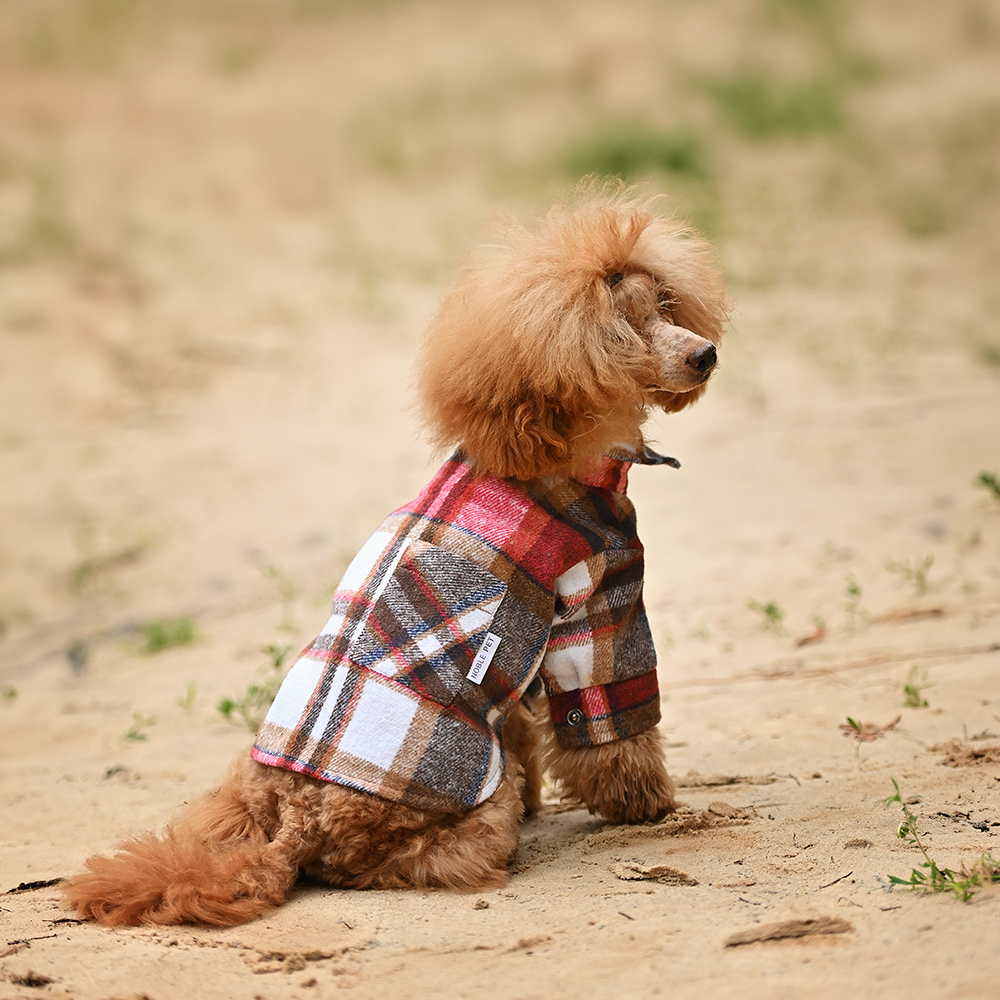 Сорочка для собак Noble Pet Kevin Red XS-2 - червоний XS2