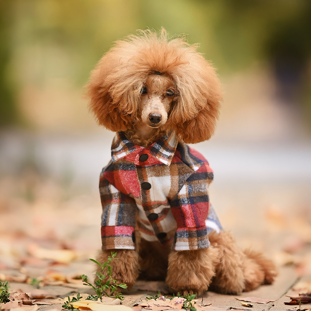 Сорочка для собак Noble Pet Kevin Red XS-2 - червоний XS2