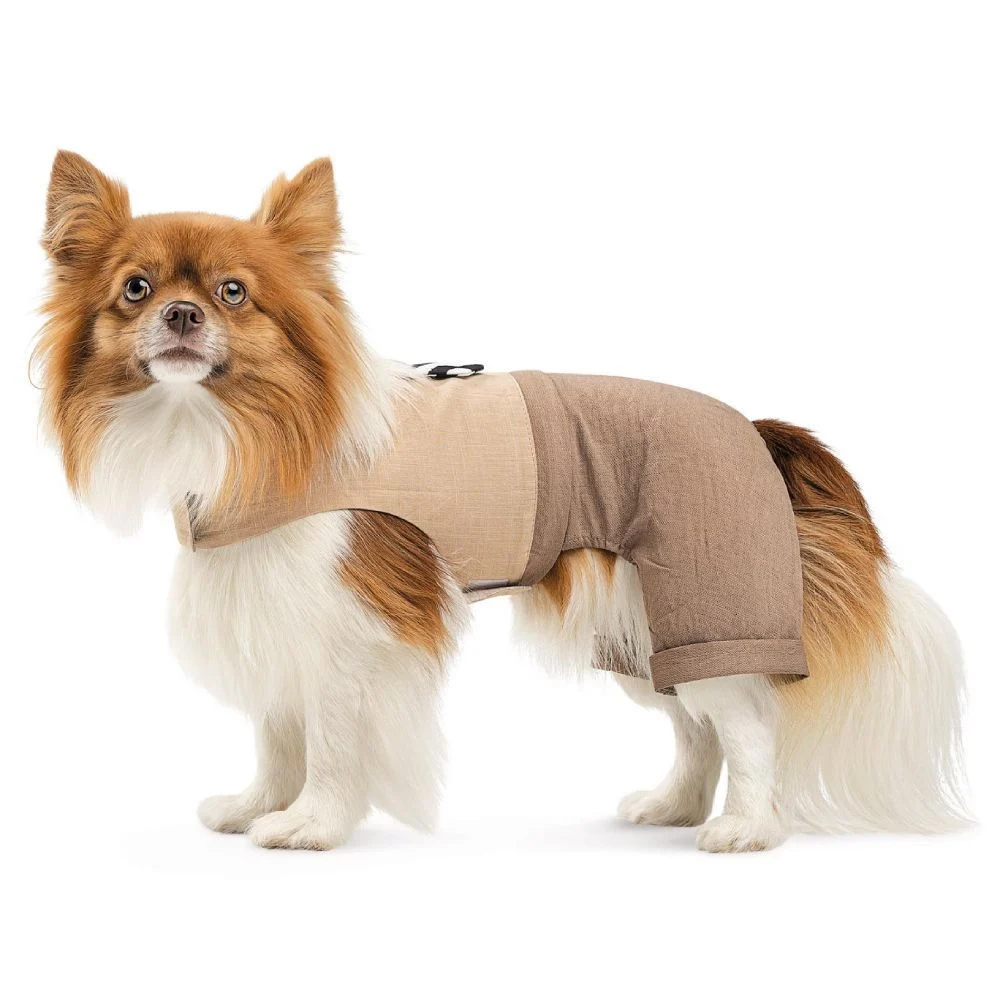 Pet Fashion Darcy шлея-костюм для собак S