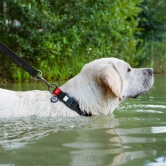 Нашийник для собак WAUDOG Waterproof з QR паспортом, водостійкий, пластикова пряжка-фастекс із замком, XL, 38-58 см 25 мм Чорний (27771)