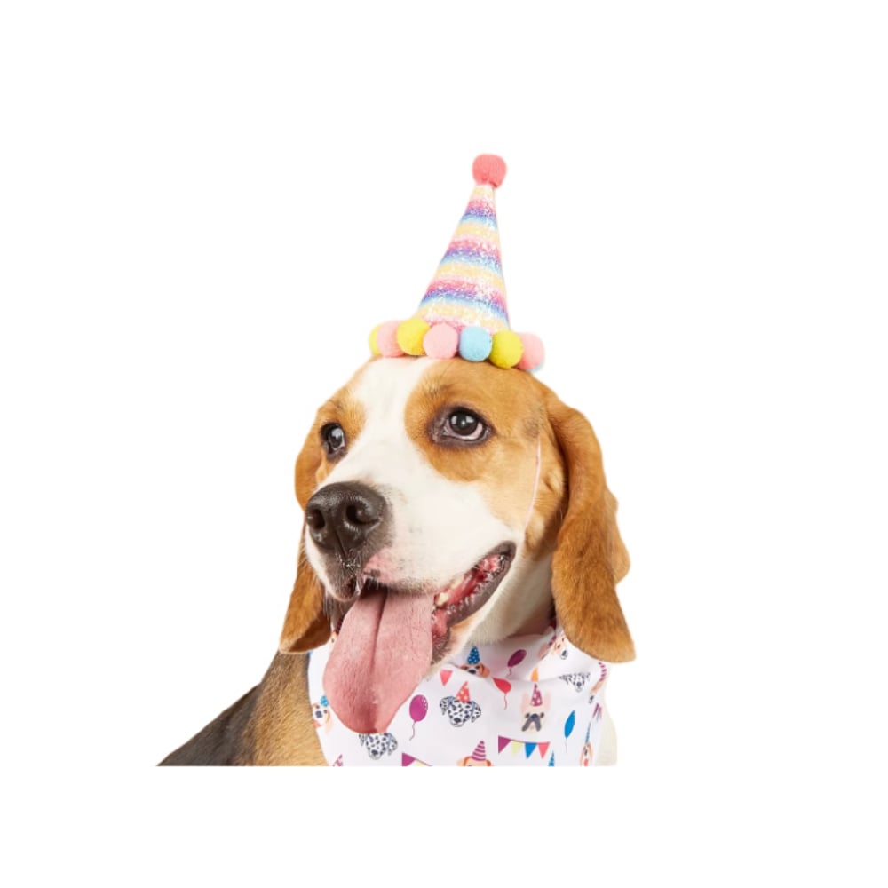 Pet Fun MasterZoo святковий ковпак для собак 11х9 см - модель в асортименті
