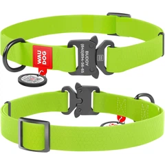 Нашийник для собак WAUDOG Waterproof з QR паспортом, водостійкий, металева пряжка-фастекс з площадкою для гравіювання 28-40 см 20 мм Салатовий (27935)
