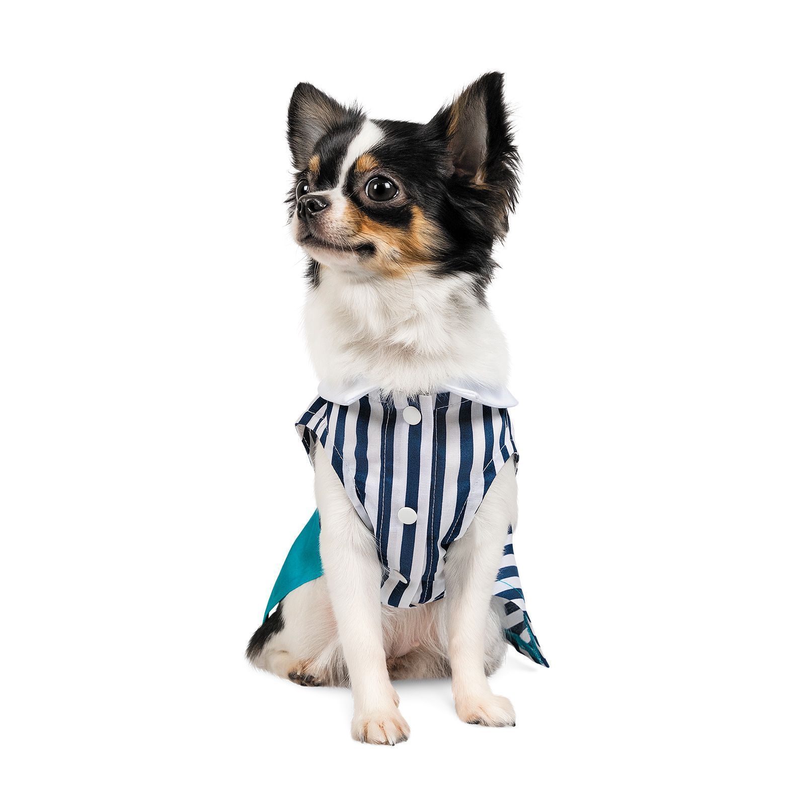 Сукня для собак Pet Fashion «Band» XS-2 (багатокольорова) XS2