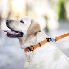 Нашийник COLLAR EVOLUTOR (КОЛЛАР ЕВОЛЮТОР) для собак середніх і великих порід з пряжкою із високоміцного авіаційного алюмінію з площадкою для гравіювання 25-70 см Помаранчевий (42434)